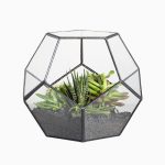 گل پاندانوس